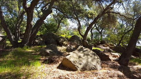2097 Refugio Rd, Goleta, CA 93117 photo 15