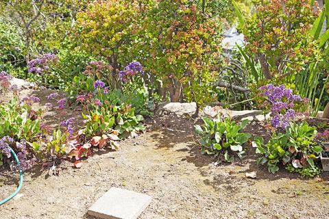 939 E Carrillo Rd, Santa Barbara, CA 93103 photo 4
