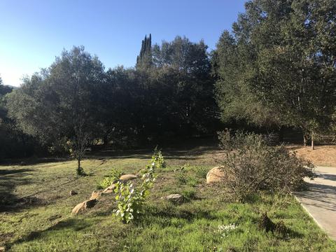 565 Pala Dr, Ojai, CA 93023 photo 4