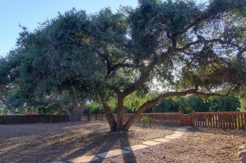 1674 Ladera Rd, Ojai, CA 93023 photo 45