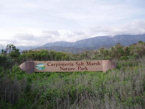 876 Maple Ave, Carpinteria, CA 93013 photo 25