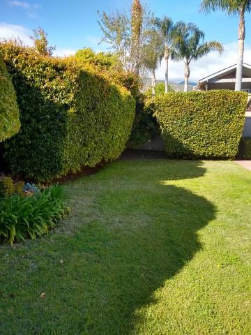 1481 Azalea Dr, Carpinteria, CA 93013 photo 9