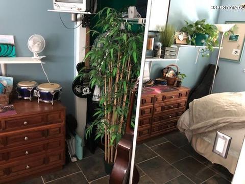 1312 Viola Way, Lompoc, CA 93436 photo 22