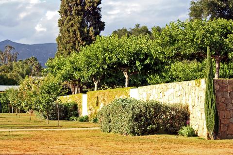 353 Old Baldwin Rd, Ojai, CA 93023 photo 5