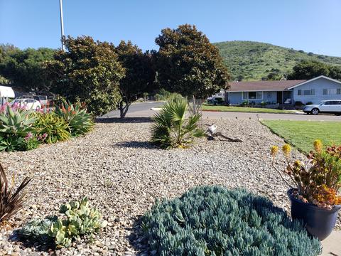 515 E Fir Ave, Lompoc, CA 93436 photo 27