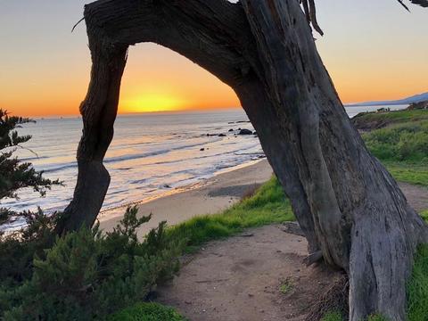 349 Ash Ave #13, Carpinteria, CA 93013 photo 7