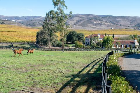 2075 Vineyard View Ln, Lompoc, CA 93436 photo 53