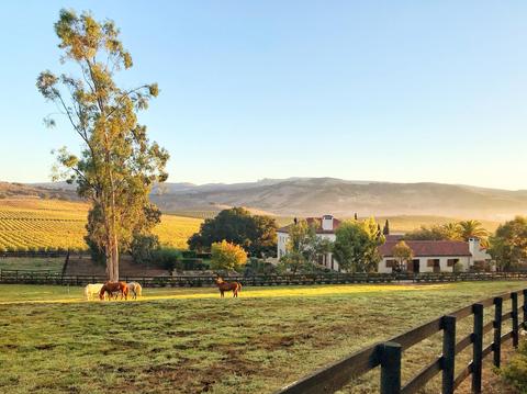 2075 Vineyard View Ln, Lompoc, CA 93436 photo 40