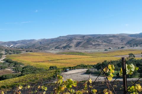 2075 Vineyard View Ln, Lompoc, CA 93436 photo 116