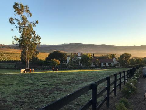 2075 Vineyard View Ln, Lompoc, CA 93436 photo 14