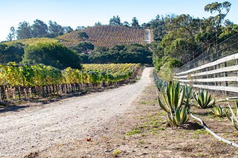 2075 Vineyard View Ln, Lompoc, CA 93436 photo 65