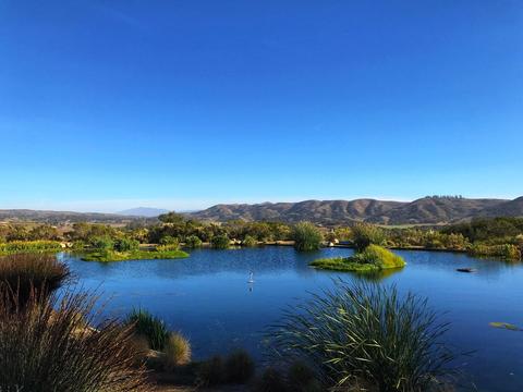 2075 Vineyard View Ln, Lompoc, CA 93436 photo 113