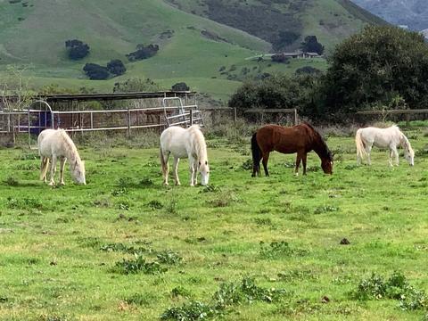 7296 Santos Rd, Lompoc, CA 93436 photo 11