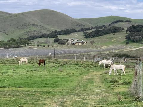 7296 Santos Rd, Lompoc, CA 93436 photo 15
