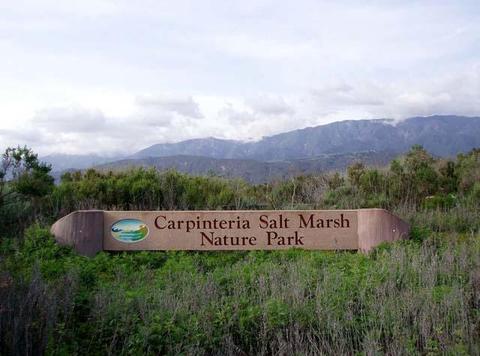 130 Ash Ave #18, Carpinteria, CA 93013 photo 13