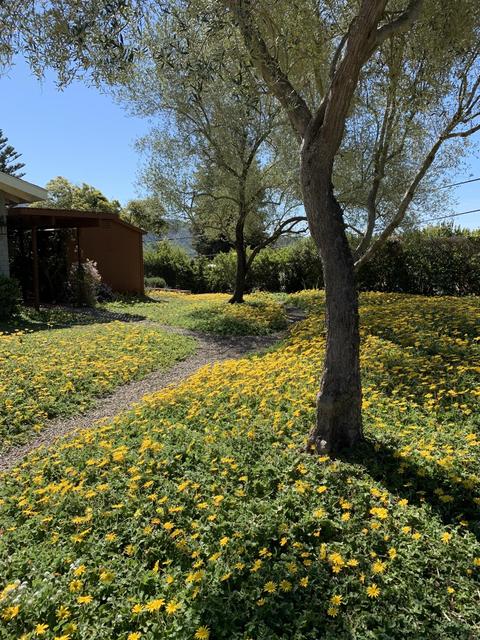 7475 Shepard Mesa Rd, Carpinteria, CA 93013 photo 25