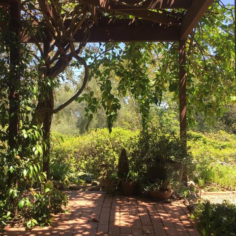 7475 Shepard Mesa Rd, Carpinteria, CA 93013 photo 20