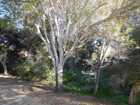 5455 8th St #56, Carpinteria, CA 93013 photo 10