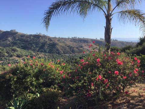 7166 Shepard Mesa Rd, Carpinteria, CA 93013 photo 18
