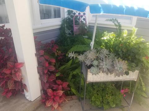 46 Olive St, Oak View, CA 93022 photo 30