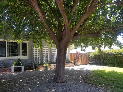 46 Olive St, Oak View, CA 93022 photo 33