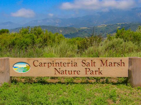 4848 Sandyland Rd, Carpinteria, CA 93013 photo 27