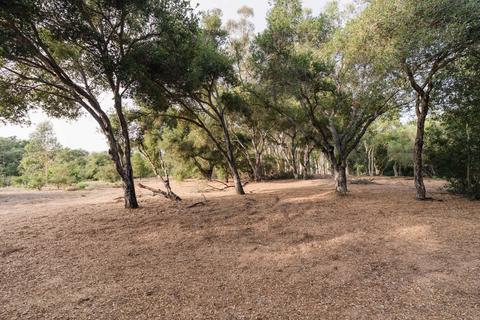 700 Riven Rock Rd, Montecito, CA 93108 photo 16