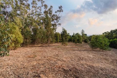 700 Riven Rock Rd, Montecito, CA 93108 photo 13