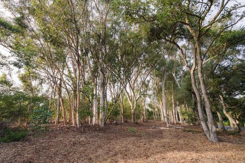 700 Riven Rock Rd, Montecito, CA 93108 photo 10