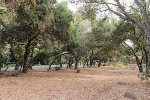 700 Riven Rock Rd, Montecito, CA 93108 photo 8