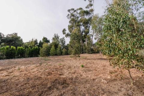 700 Riven Rock Rd, Montecito, CA 93108 photo 11