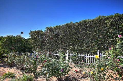 1731 La Mirada Dr, Carpinteria, CA 93013 photo 50