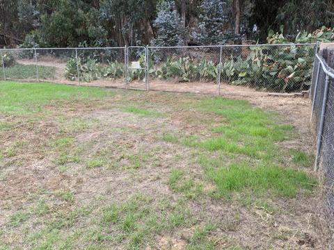 279 Pebble Beach Dr, Goleta, CA 93117 photo 40