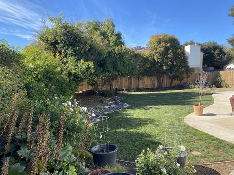 575 Pine St, Solvang, CA 93463 photo 19