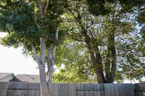 1308 E Chestnut Ave, Lompoc, CA 93436 photo 21
