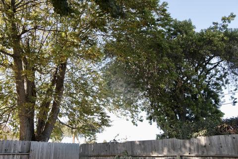 1308 E Chestnut Ave, Lompoc, CA 93436 photo 22
