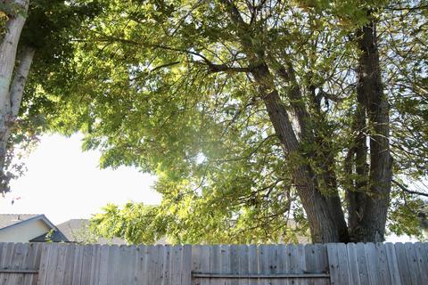 1308 E Chestnut Ave, Lompoc, CA 93436 photo 23
