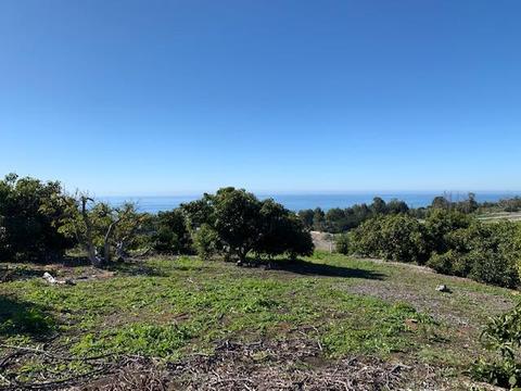 315 Calle Lippizana, Goleta, CA 93117 photo 9