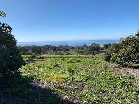 315 Calle Lippizana, Goleta, CA 93117 photo 10