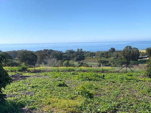 315 Calle Lippizana, Goleta, CA 93117 photo 12