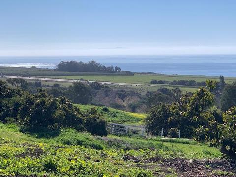 315 Calle Lippizana, Goleta, CA 93117 photo 8