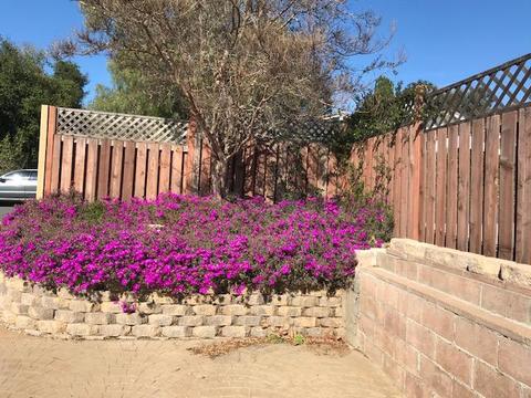 1730 Eucalyptus Dr, Solvang, CA 93463 photo 12