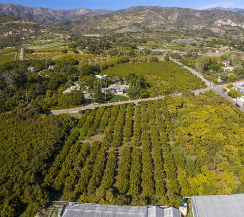 4244 Foothill Rd, Carpinteria, CA 93013 photo 29