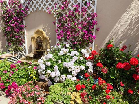 1413 Sterling Ave, Carpinteria, CA 93013 photo 16