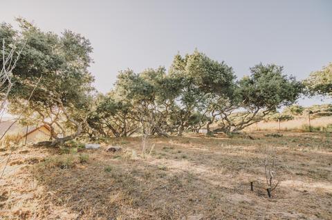 297 Oak Hill Dr, Lompoc, CA 93436 photo 19