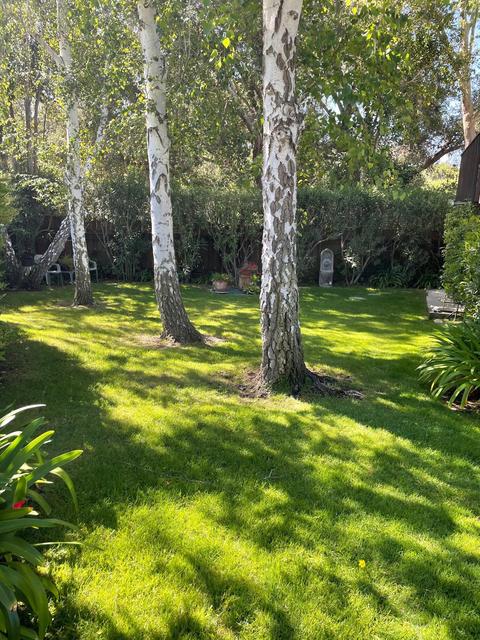 265 5th St #D, Solvang, CA 93463 photo 8