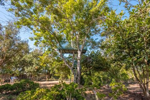 3600 Foothill Rd, Carpinteria, CA 93013 photo 24