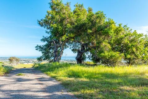 3600 Foothill Rd, Carpinteria, CA 93013 photo 9