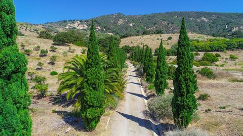 3600 Foothill Rd, Carpinteria, CA 93013 photo 20