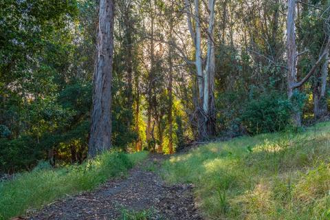 3600 Foothill Rd, Carpinteria, CA 93013 photo 16